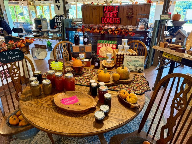 A colorful market table with cider, preserves, pumpkins and fall decorations.