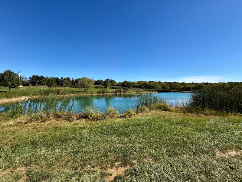 A quiet pond and grassy landscape beneath a deep blue sky at the farm.