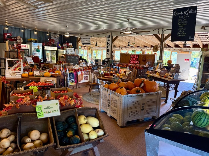 The open-air farm market filled with seasonal produce and rustic displays.