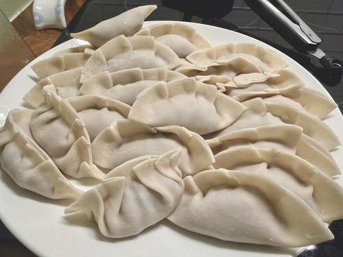 Homemade dumplings arranged on a white plate before cooking.